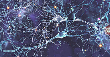 Neurodiversität am Arbeitsplatz: Neuronale Nervenbahnen verbinden Nervenzellen.