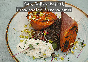 Auf einem Teller ist ein Gericht aus gebratenen Süßkartoffeln, Linsensalat und einem Sprossenmix angerichtet 