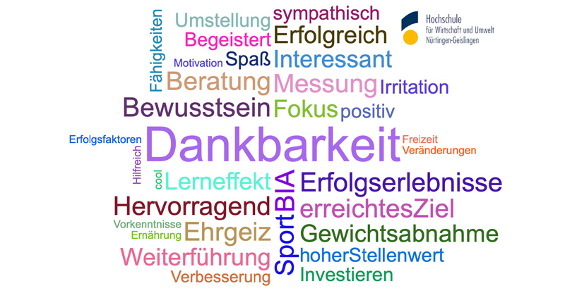 Ein bunte Ansammlung von verschiedenen Begriffen rund um Erfahrungen und Gefühle der Beteiligten des Pilotprojekts