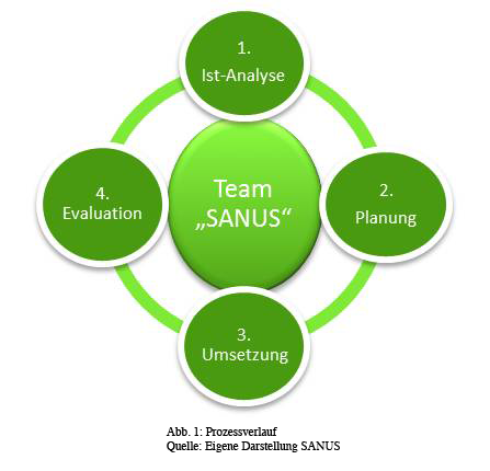 Team Sanus - Prozessverlauf Prozesskreislauf aus Ist-Analyse, Planung, Umsetzung, Evaluation