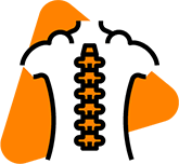 Schematische Darstellung eines Rückens mit erkennbarer Wirbelsäule