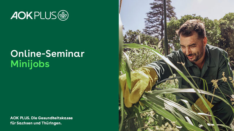 Thumbnail Online-Seminar "Minijobs"
