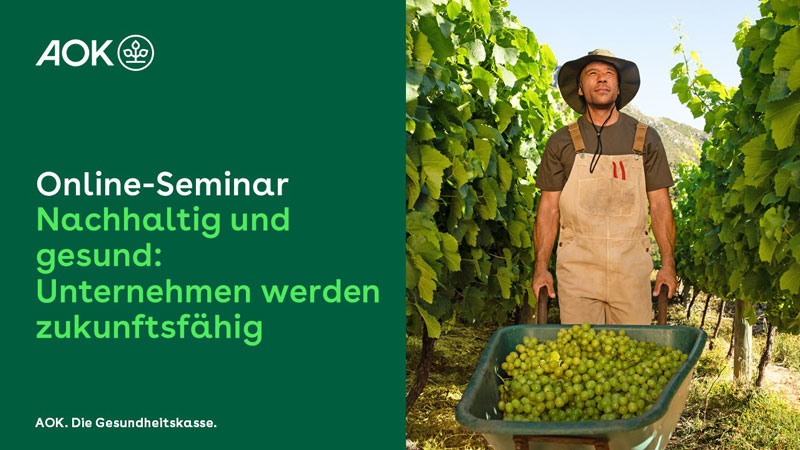 Thumbnail Online-Seminar Nachhaltig und gesund: Unternehmen werden zukunftsfähig 