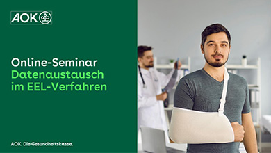 Online-Seminar "Datenaustausch im EEL-Verfahren"