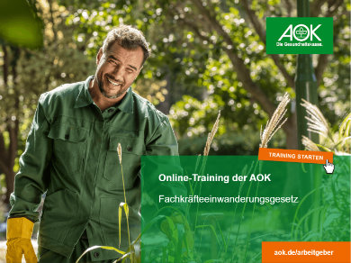 Online-Training Fachkräfteeinwanderungsgesetz Online-Training Fachkräfteeinwanderungsgesetz