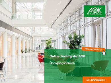 Online-Training Übergangsbereich Online-Training Übergangsbereich
