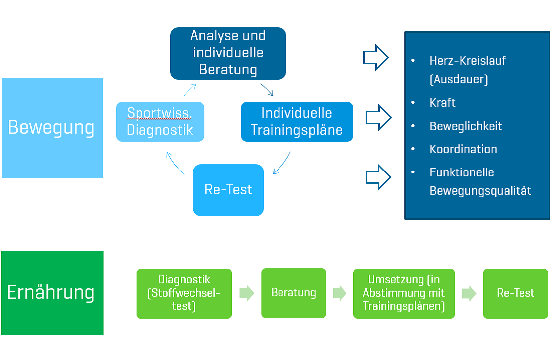 Konzeptes von Pro.Fit Darstellung des Konzeptes von Pro.Fit mit den Bereichen Bewegung und Ernährung