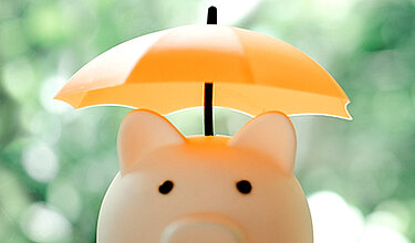 Scharschwein trägt einen Schirm