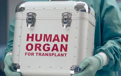 Transport eines Transplantationsorgans