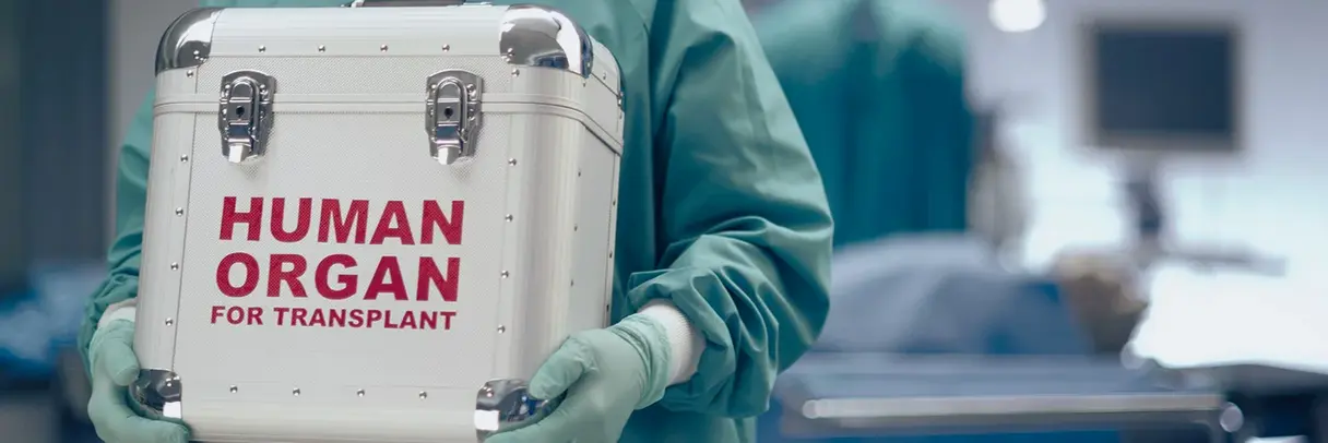 Organtransplantation Transport eines Transplantationsorgans