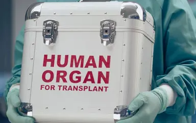 Transport eines Transplantationsorgans