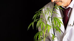 Cannabis und Arzt (Symbolbild)