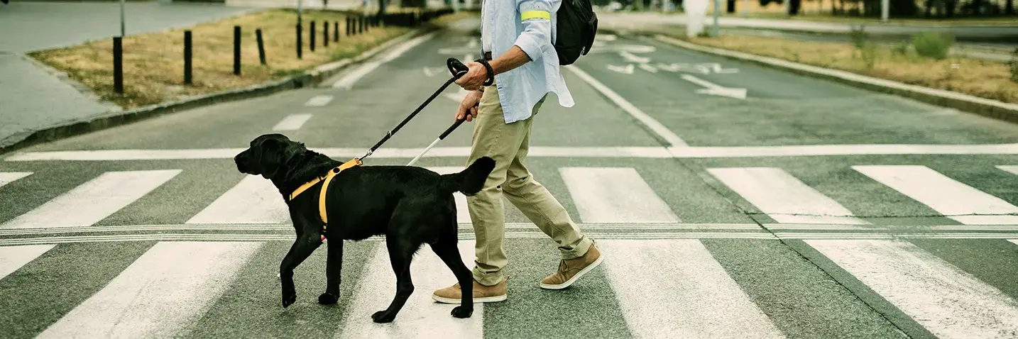 Mann überquert Straße mit Blindenführhund