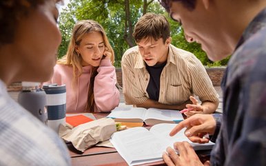 Vier Auszubildende lernen in der Natur