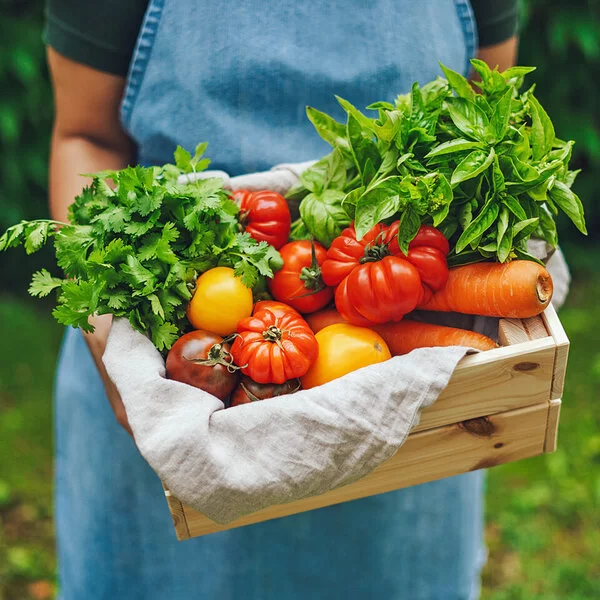Jemand hält eine Holzkiste mit frischem Sommergemüse und Kräutern.