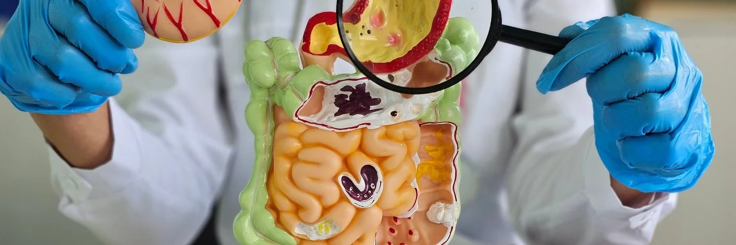 Arzt am Modell des Verdauungstraktes