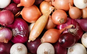 Frische bunte Zwiebeln