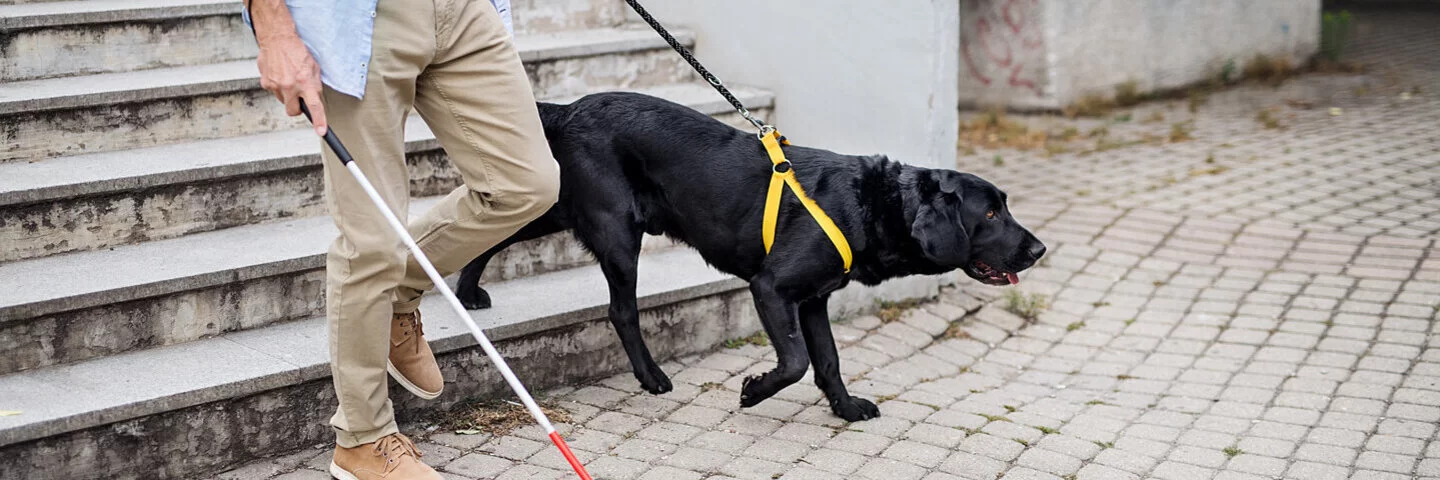 Ein Mann geht mit Blindenführhund und Stock die Treppe hinunter. Die AOK übernimmt die Kosten für Blindenführhunde.