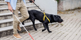 Ein Mann geht mit Blindenführhund und Stock die Treppe hinunter. Die AOK übernimmt die Kosten für Blindenführhunde.