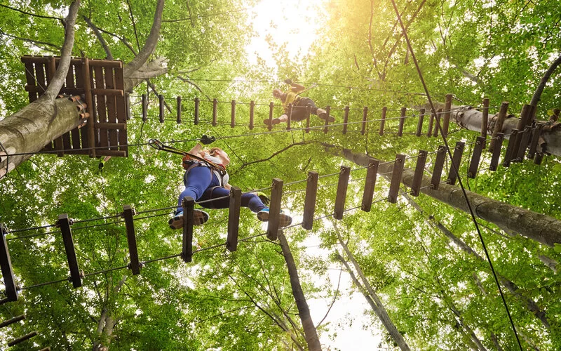 Es sind mehrere Menschen zu sehen, die in einem Hochseilgarten durch die Baumwipfel klettern.