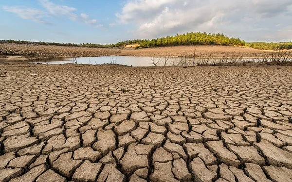 Eine Landschaftsaufnahme zeigt einen ausgetrockneten, rissigen Boden. Im Hintergrund befinden sich ein Teich mit niedrigem Wasserstand und eine kleine bewaldete Anhöhe.
