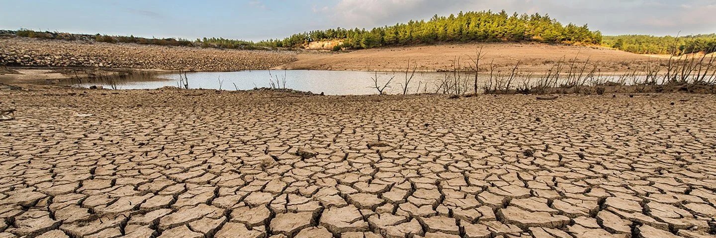 Eine Landschaftsaufnahme zeigt einen ausgetrockneten, rissigen Boden. Im Hintergrund befinden sich ein Teich mit niedrigem Wasserstand und eine kleine bewaldete Anhöhe.