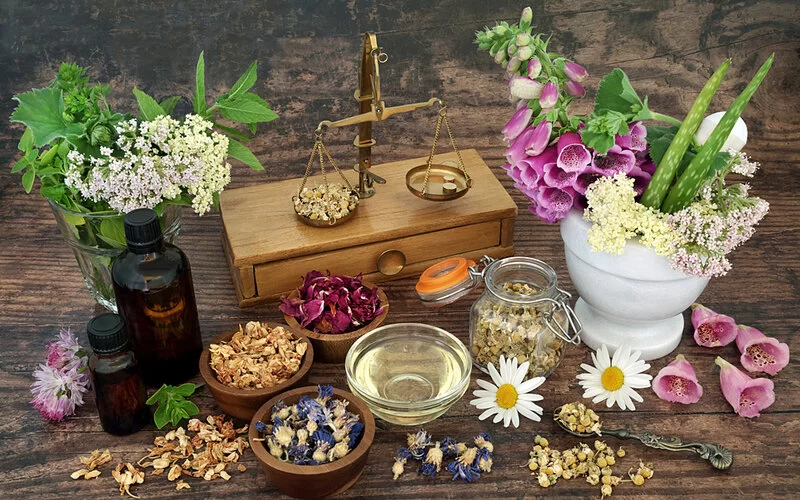 Auf einem Holztisch sind verschiedene Blüten und Kräuter für die Zubereitung einer Pflanzenmedizin zu sehen.