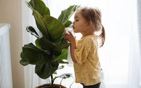 Ein kleines Mädchen gießt eine große Pflanze, die vielleicht giftig ist.