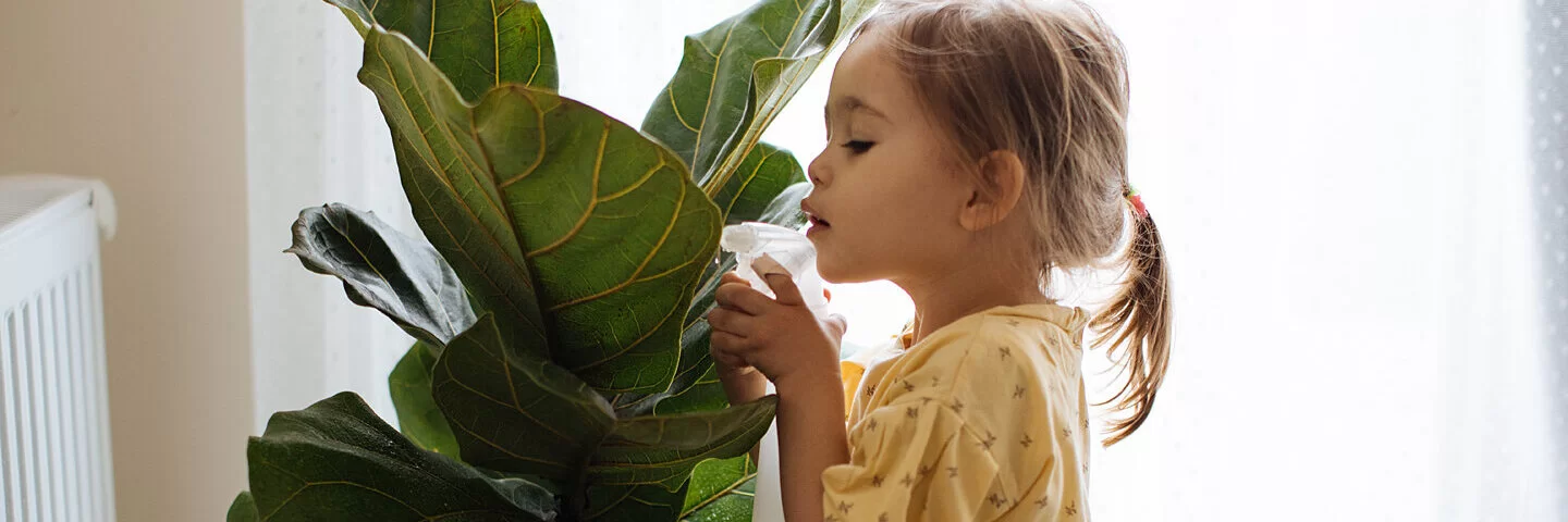 Ein kleines Mädchen gießt eine große Pflanze, die vielleicht giftig ist.