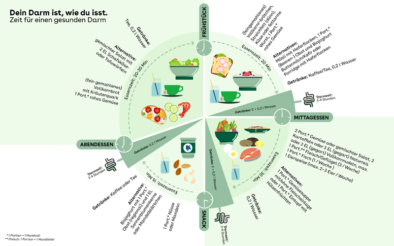 Die Grafik stellt einen Kreis dar, der im Uhrzeigersinn vier Tagesmahlzeiten abbildet, die für einen gesunden Darm wichtig sind.
