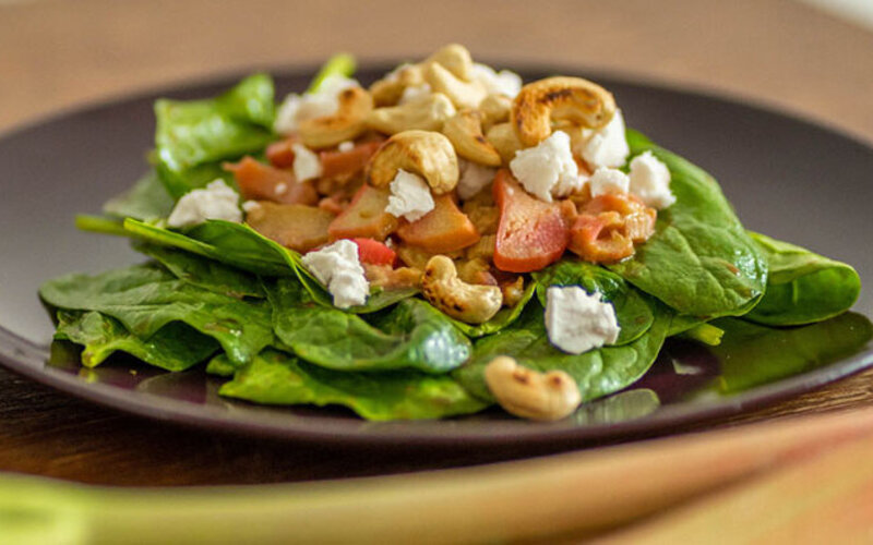 Gesunde Rhabarber-Rezepte: Rhabarber-Feta-Salat