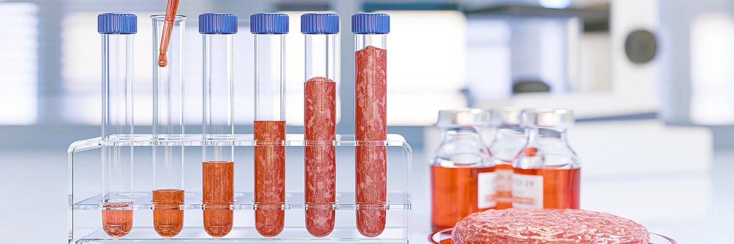 Eine Laborsituation mit Reagenzgläsern, die teilweilse mit In-vitro-Fleisch befüllt sind.