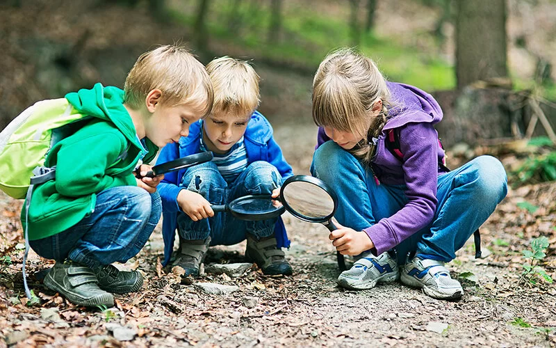Drei Schulkinder im Wald hocken auf dem Waldboden und schauen dabei aufmerksam durch große Lupen.