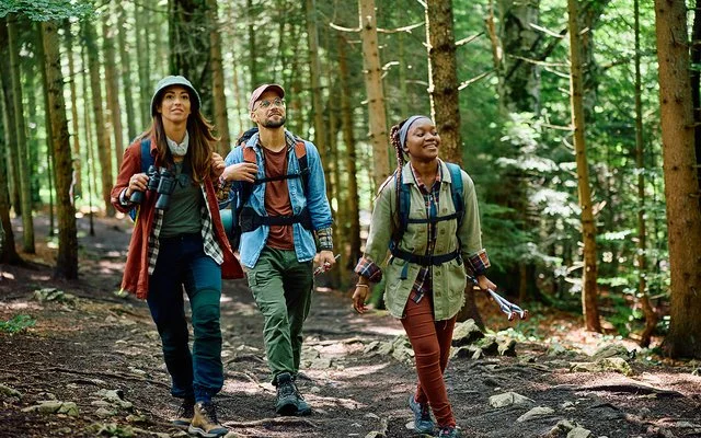 Drei junge Leute in robuster Wanderkleidung mit Rücksäcken gehen gut gelaunt durch einen dichten Wald.