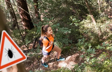 Eine junge Frau in robuster Wanderkleidung mit Rücksäcken geht gut gelaunt durch einen dichten Wald.