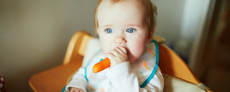 Baby isst eine geschälte Karotte.
