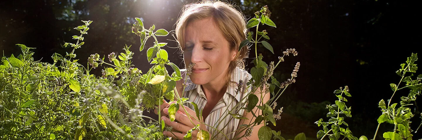 Frau beugt sich in einem sonnendurchfluteten Kräutergarten über Minze- und Lavendelpflanzen und riecht an den frischen Blättern.
