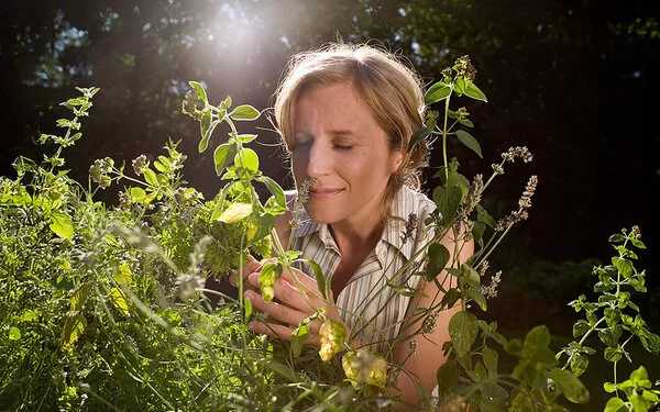 Frau beugt sich in einem sonnendurchfluteten Kräutergarten über Minze- und Lavendelpflanzen und riecht an den frischen Blättern.