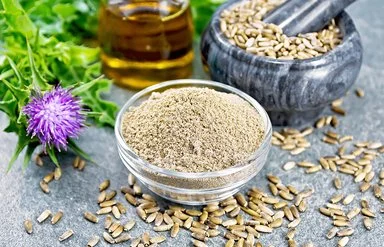 Mariendistel in allen ihren Formen: die frische Pflanze, ihre ganzen und gemahlenen Samen in Schalen sowie Mariendistelöl.