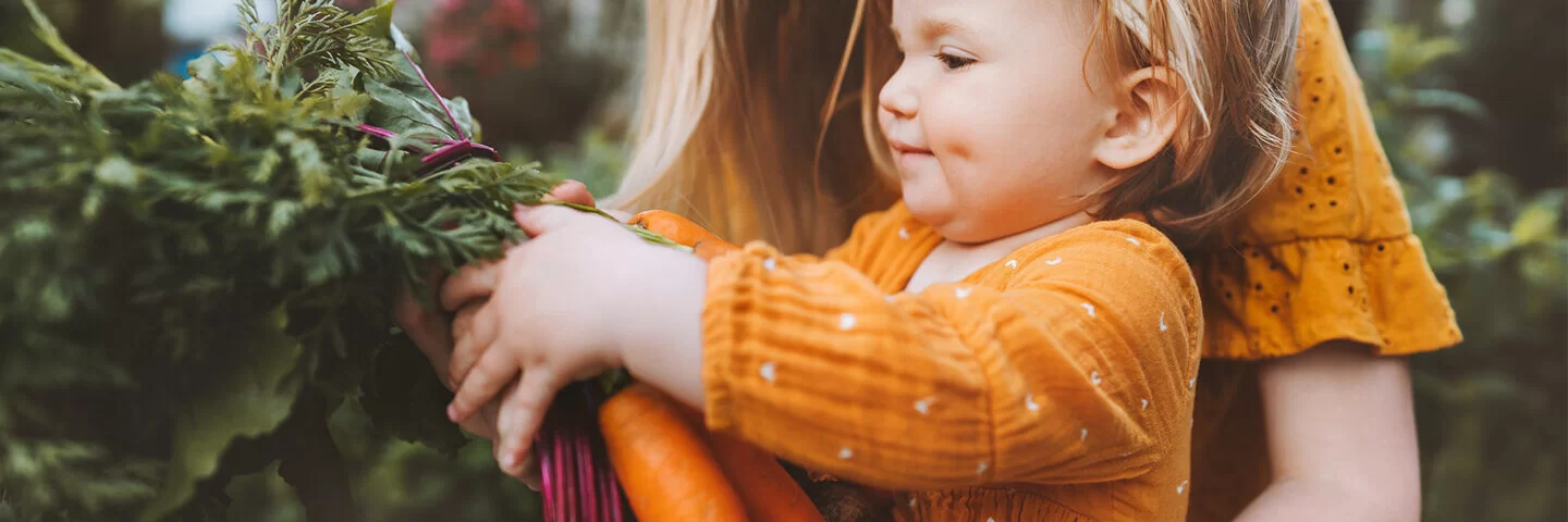 Ein kleines Mädchen hält frische Karotten in den Händen, eine Frau stützt das Mädchen mit den Armen.