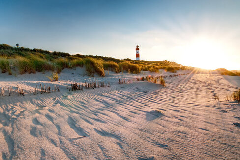 Das Bild zeigt einen Strand, der in helles Sonnenlicht getaucht ist. In der Ferne ist ein Leuchtturm zu erkennen.