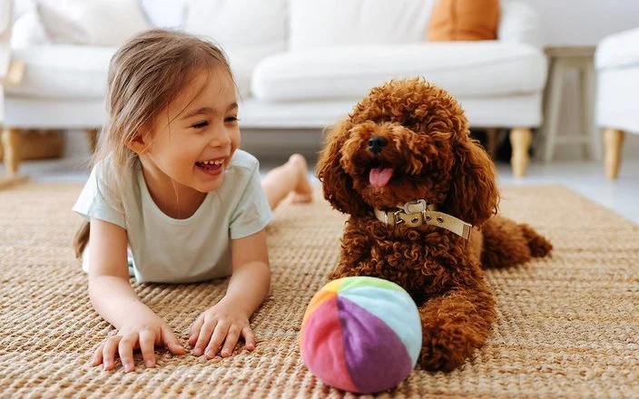 Ein kleines Mädchen spielt mit einem Hund auf dem Teppich im Wohnzimmer und lacht das Tier an.
