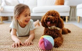 Ein kleines Mädchen spielt mit einem Hund auf dem Teppich im Wohnzimmer und lacht das Tier an.