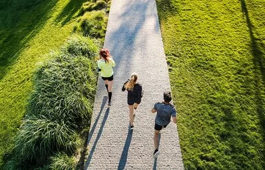 Drei junge Menschen beim Laufen im Park von hinten aus der Vogelperspektve aufgenommen.