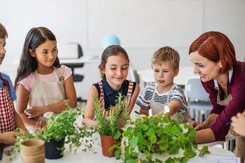 Grundschulkinder stehen in einem Klassenzimmer vor einem Tisch, auf dem viele verschiedene Kräutertöpfe aufgereiht sind. Sie hören ihrer Lehrerin zu, die neben ihnen steht und den Kinder etwas erklärt.