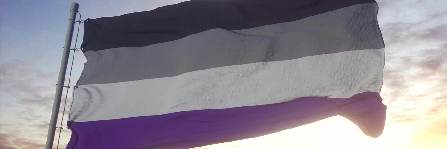 Asexuelle Flagge, die im Wind weht mit Himmel im Hintergrund.