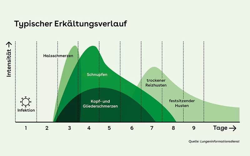 Darstellung des typischen Erkältungsverlaufs mit Symptomen über die Zeit.