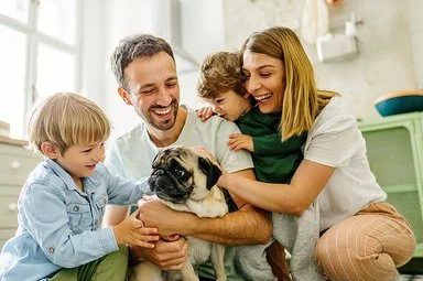 Eine junge vierköpfige Familie hockt auf dem Küchenboden. Auf den Oberschenkeln des Vaters sitzt ein Mops, eines der Kinder streichelt den Hund. Die Mutter und ein jüngeres Kind beobachten die Szene. Alle lachen fröhlich.