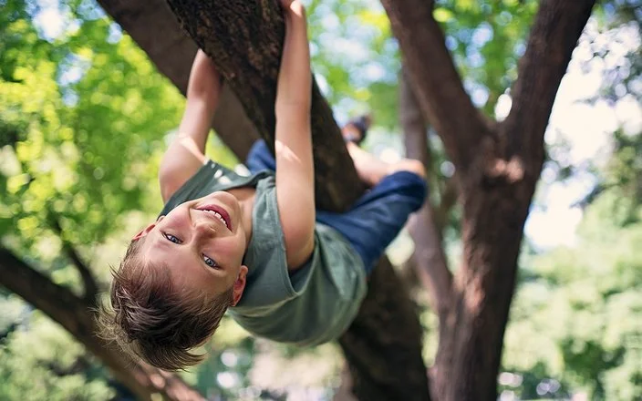 Ein Junge im Schulkindalter klettert auf einen Baum.