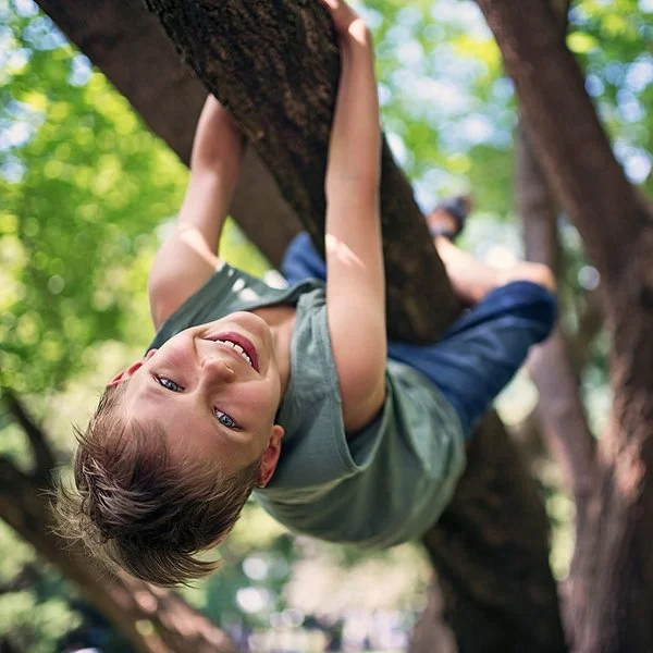 Ein Junge im Schulkindalter klettert auf einen Baum.